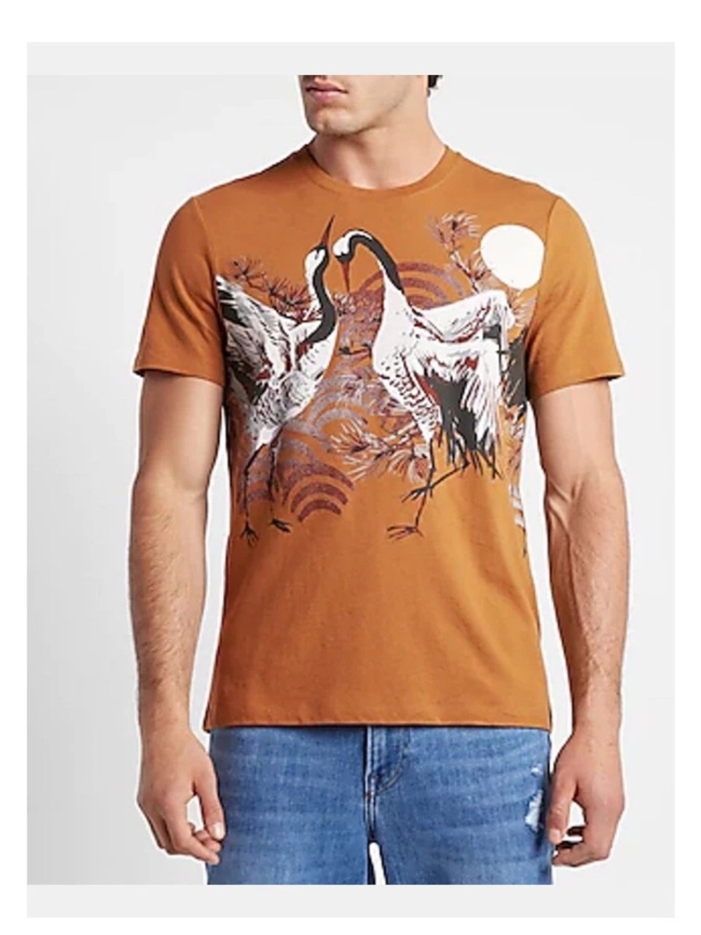 Men's Rust Graphic Crane Print T-Shirt